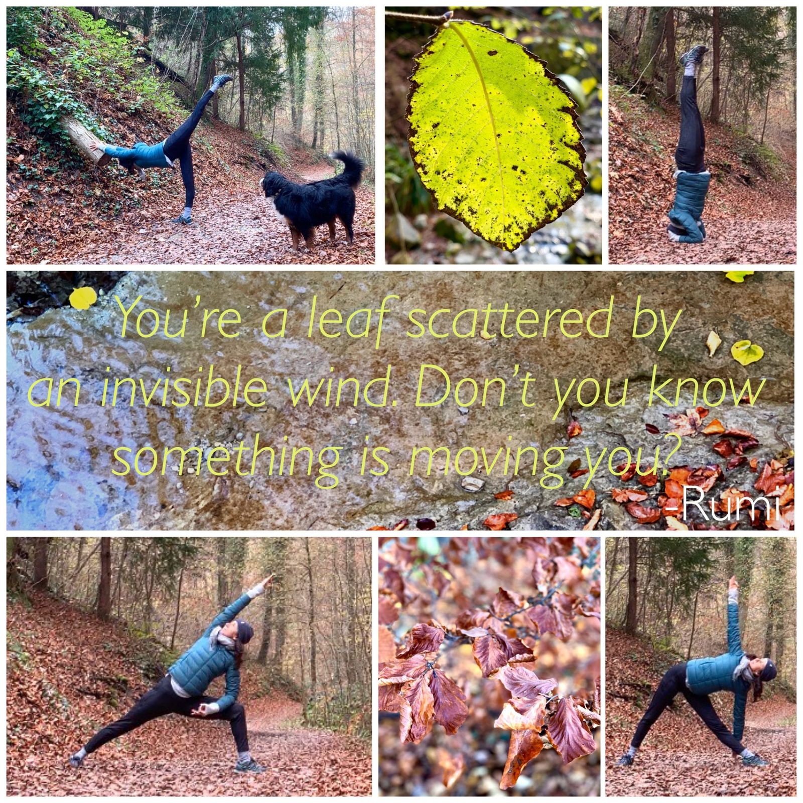 Honoring the spirit of nature and connecting with earth on a deeper level is part of my yoga practice; Engaging the senses, expanding the mind and the soul ; Grounding, standing, inverting and balancing my body with devotion; Witnessing the calming and energizing sensations of interconnectedness.

Gratitude 🙏🏻