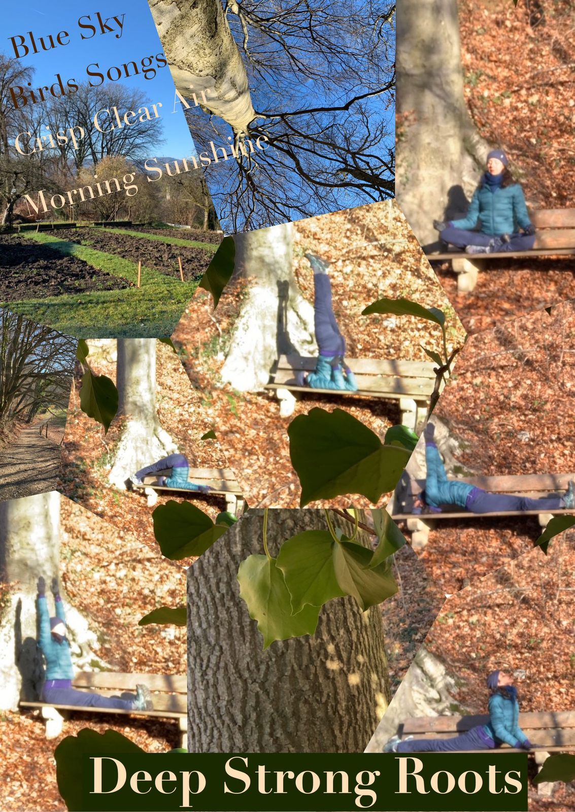 The best and free yoga space is in nature! Find yourself a quiet place where your body and mind feel happy and connected to the nature elements and the deep and strong roots of wisdom trees. Practice the postures that you know until they become free of tension and comfortable. Practice conscious breathing until it becomes relaxed and flows effortlessly. From ease and stillness, calm and profound peace arise, the body feels like pure vibrations and meditation happens. Feel the simplicity of life when you see it complicated. THIS IS YOGA. Namaste 🙏🏻