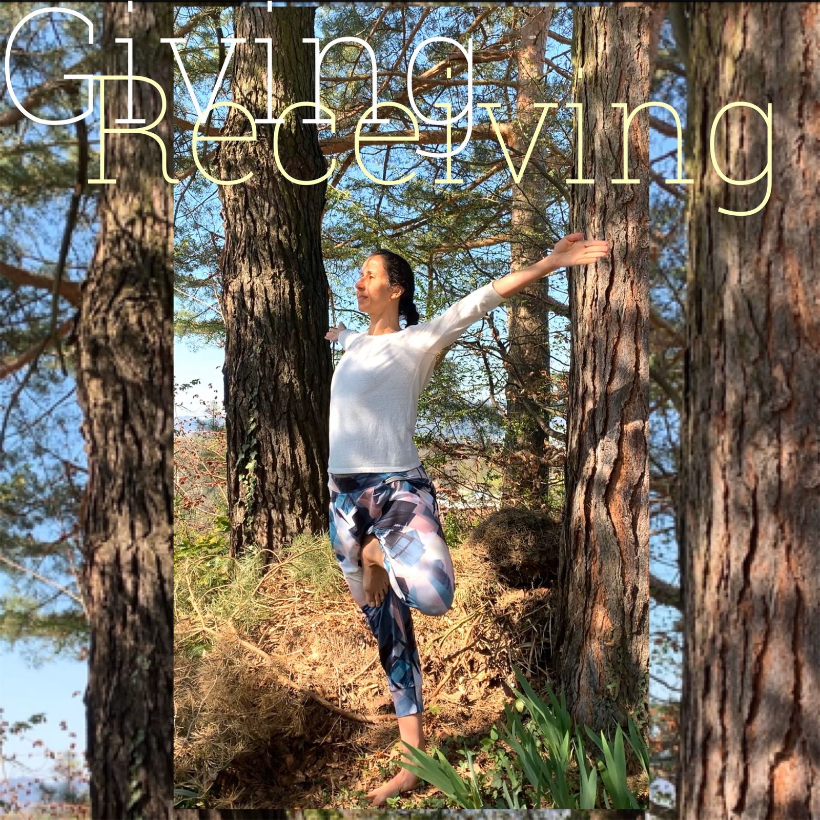 Giving and receiving is the natural law of nature. The sun gives light to the plants. The plants receive the light energy to live and grow. I invite you to reflect deeper and deeper from the space of your heart on this beautiful interconnectedness of giving and receiving in everyday life. When you are aware of your breath, receiving an inhalation and giving and exhalation, you understand that everything in life exists with both receiving and giving.

Let’s practice and invite your heart to bathe in the energy of the word GIVING. Giving a smile. Giving a word of kindness. Giving a flower. Giving attention. Giving time. Giving love. Notice all the feelings raising in your body and your mind. Notice if there is any change in the space of your heart. Does it feel shrinking, expanding? Can you measure the size of your consciousness? Do you put any effort in giving?

Now let’s do the same experience with the word receiving. Invite your heart to bathe in the energy of the word RECEIVING. Receiving sunlight. Receiving water. Receiving an in-breath. Receiving a smile. Receiving kindness. Receiving attention. Receiving love. How does that feel? Are you comfortable receiving? Are you open to receive with appreciation without judgement? Do you put any effort in receiving?

When giving and receiving flow from the open space of the heart it creates something extraordinary, a feeling of connectedness, togetherness, unity and pure love. When your are giving unconditionally, you are already receiving the joy of giving. It is happening simultaneously just like in every living creation, giving and receiving with unconditional love.

Carpe Diem 🙏🏻

As Rumi beautifully said: “those receiving light give out light.”