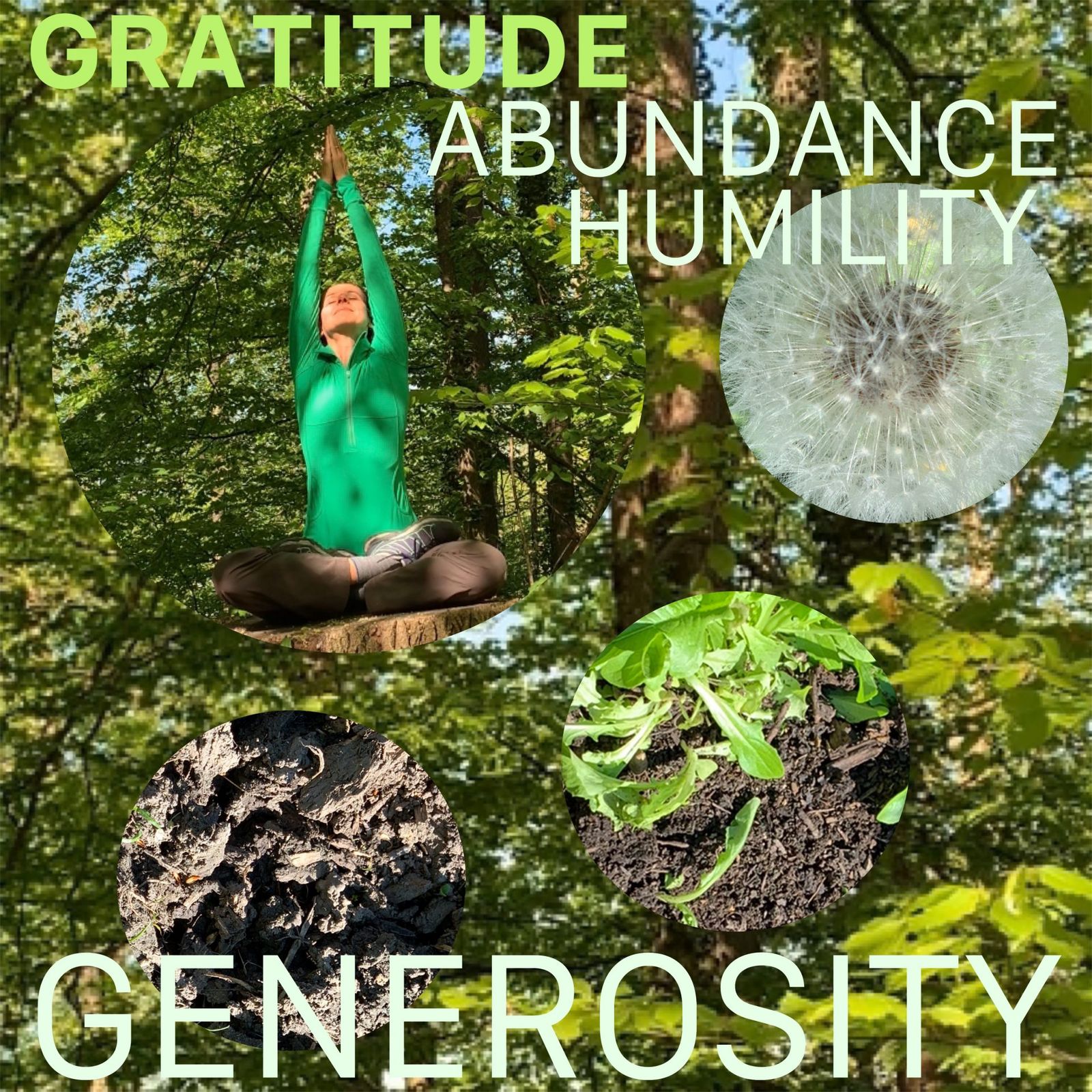 Mother Earth gives with abundance and unconditional love. Trees shelter birds and all kind of animals and share their fruits and flowers with all living organisms. The roots travel far underground to provide nutrients with a sense of connectedness. The leaves reach high to the sky to receive light and blossom, offering their scents and colors. From the roots to the leaves the trees have so much to teach us. Nature is our ultimate master; oceans, night starry sky, birds, bees, ants and the list goes on and one.

ABUNDANCE, HUMILITY and GENEROSITY are the virtues of Mother Earth. Let’s celebrate everyday the unconditional love of Nature🍃

Gratitude 🙏🏻