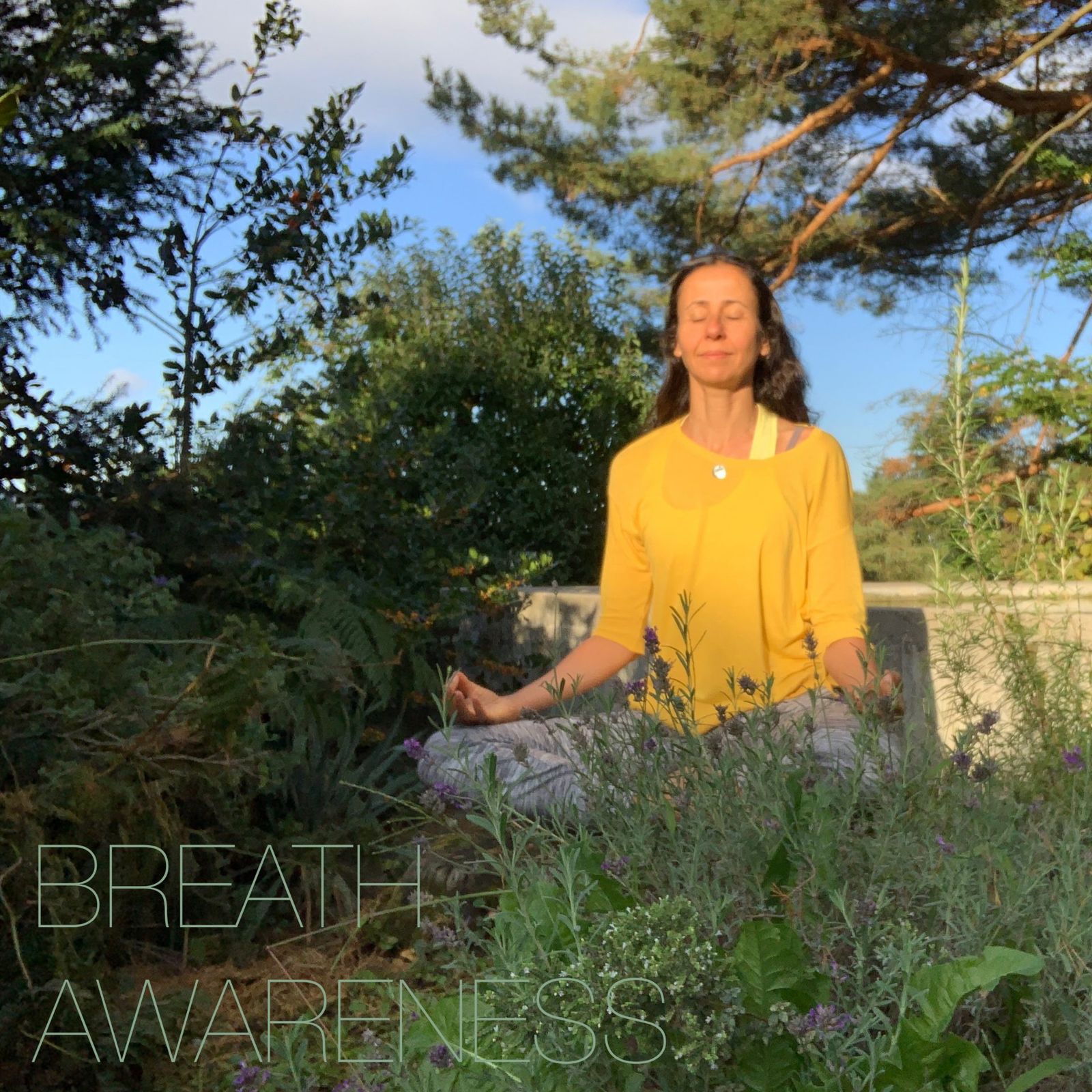 “The interruption of a settled and peaceful condition”. When your head feels heavy, loaded with multidirectional thoughts, worries and doubts, notice your energy level and your emotional state. By switching your awareness to the breath, you become the observer of the disturbed mind and have the power to make choices to restore peace. Breathing slowly and consciously creates space between thoughts allowing the chattering voice to quiet down so you see that disturbance is neither you, nor your essence. Conscious breathing quiets the mind, harmonizes the energy and balances the emotions.

Carpe Diem🙏🏻