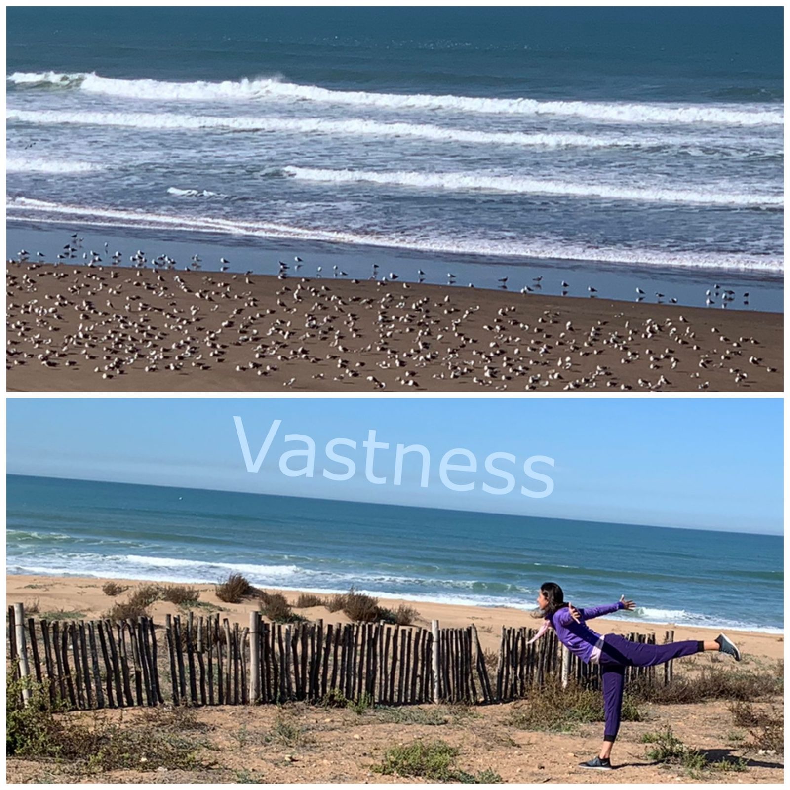 With a mindful mindset, we no longer feel the center of the universe but rather a part of it. The experience of connectedness triggers an abundance of positive emotions that keeps the heart young and pure and the mind vast and clear. Yoga is like mental hygiene, a boost of positive energy, calmness, serenity, creativity and happiness.

Gratitude 🙏🏻