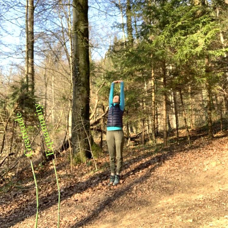 The spelling of the word equanimity brings peace and harmony to my heart. Every letter weighs a gentle balance of wisdom and freedom. When the mind relaxes in the flow of love and gratitude, every cell in the body expands and smiles with joy. Those small and silent moments that sound irrelevant are the most precious ones. The simplicity of the experience kindles the pure and abundant energy already presents in everyone of us. The constant activity of the mind shades our light and our true potential.

Gratitude 🙏🏻