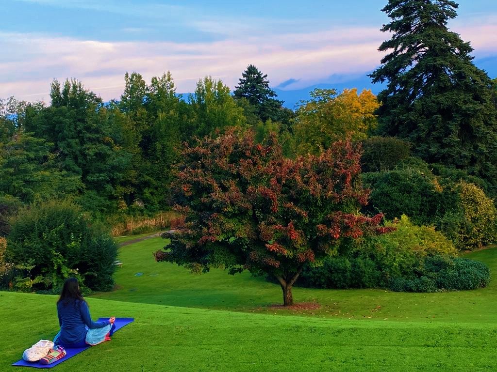 
Have you experienced what is going in your mind when you are in silence mode? Can you hear something inside your head telling you what to like or dislike, what to do and not to do? Can you hear a talkative voice judging pretty much everyone and everything? If you can hear that you are then noticing that you are not in silence; thoughts come and go at any moment without warning and your internal monologue doesn’t turn off. Have you experienced that?

How does your silence looks like? Is it loud and noisy? Did you know that listening to silence helps to discover ourselves? While reading my post, a voice in your head might say: “I am terrible at being quiet, silence makes me uncomfortable and anxious, I need to move, this is not for me”. Did you know that two minutes of silence can be more relaxing than listening to music? Studies have shown that few minutes of silence bring your mind in a state of calmness.

Meditation is an ancient silence practice that helps you notice that you are neither the cloudy thoughts nor the talkative voice. The mind becomes receptive to the ebb and flow of the activity of the brain without identifying itself. Small moments of awakening sparkle and the heart opens to an infinite space of calm, honesty and trust; the freedom of Self. What if in all situations you were to find silence around chaos and master the life you want to have and the person you want to be?

Carpe Diem 🧘🏼‍♂️