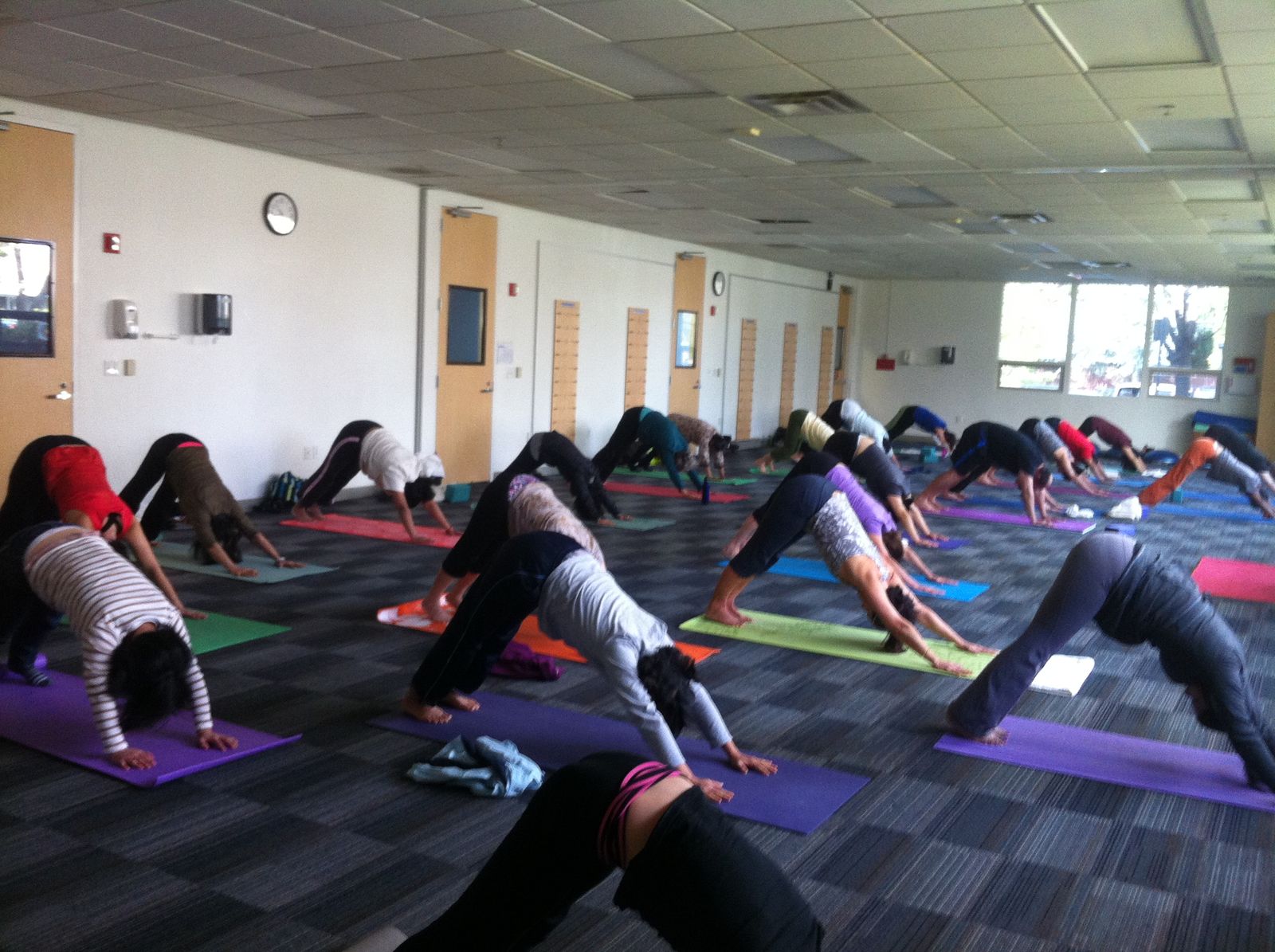 They're practicing the basics! Downward Facing Dog (Adho Mukha Śvānāsana) is an inversion. 