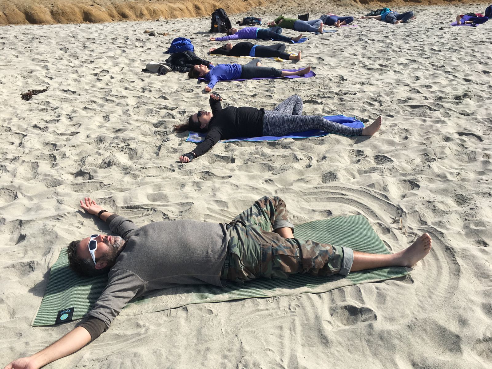Reclining trees on the beach November 2018