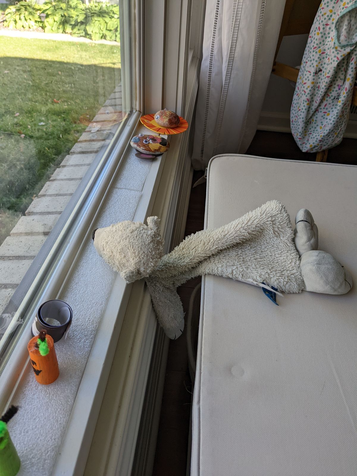 Oso stares longingly out the window.