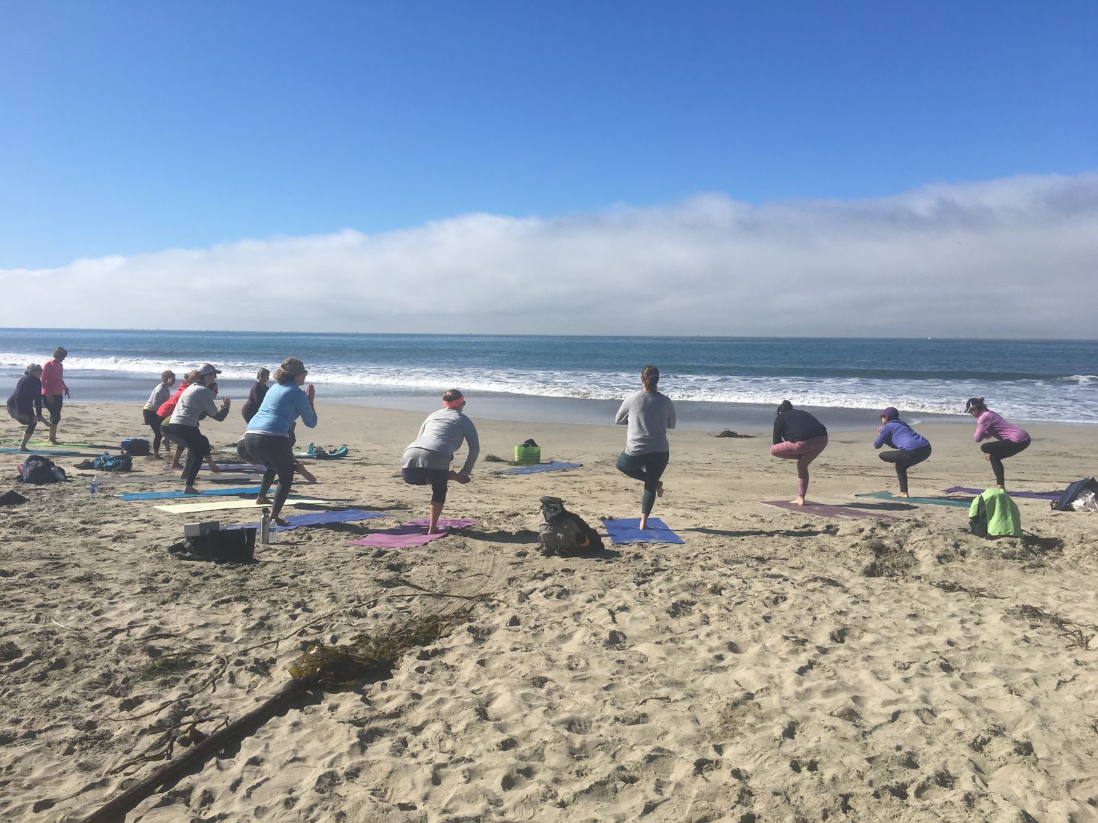 Standing pigeons on the beach May 2019