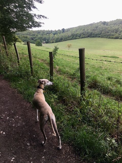 He thrives in NATURE.