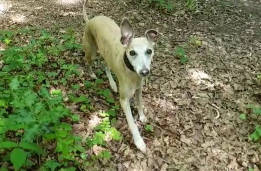 He is all about the PRESENT moment.