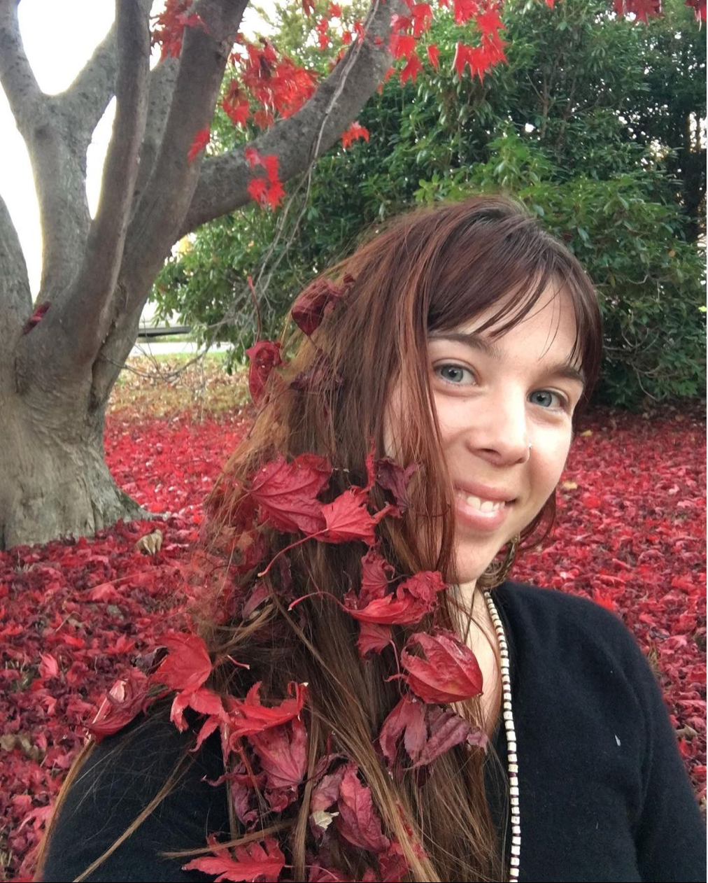 [Love these blood red Japanese Maple leaves!]