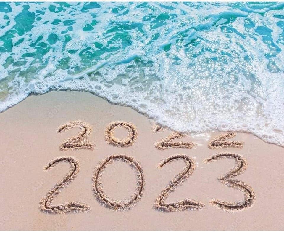 New Year Resolutions by Donna Ashworth