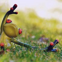 Yoga stands apart from other movement modalities as 
a powerful way to connect with our authentic
inner selves. A consistent yoga practice
works from the inside out to enable us to develop our peace,
strength, balance, fitness and flexibility. With
consistency your physical body will change, as most people
see amazing health benefits, but it's the
inner calm and confidence we create in yoga that you may 
appreciate even more.
