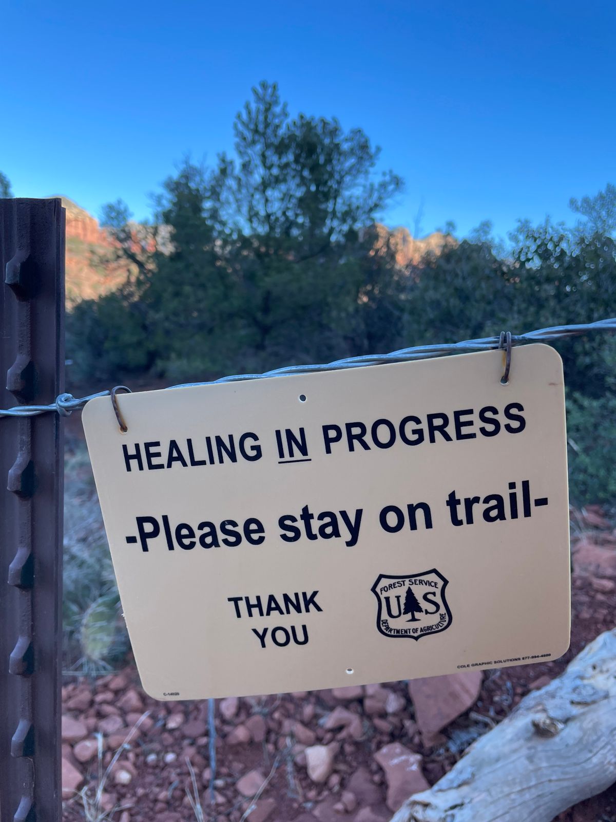 Why is it that we are kinder to others than to ourselves? I know you know what I'm talking about. The inner-critic shows up and you are just not good enough. But... you often times strive to go beyond what you personally need or want to please others... Where is the love and self-compassion in this?  We  do have opportunity to shine a light into the dark corners of our hearts...