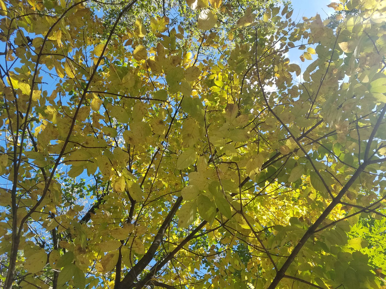 Spring is in the Air!