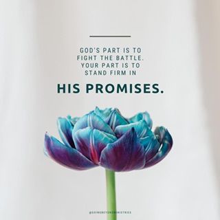 INTO EVERY LIFE A LITTLE RAIN MUST FALL