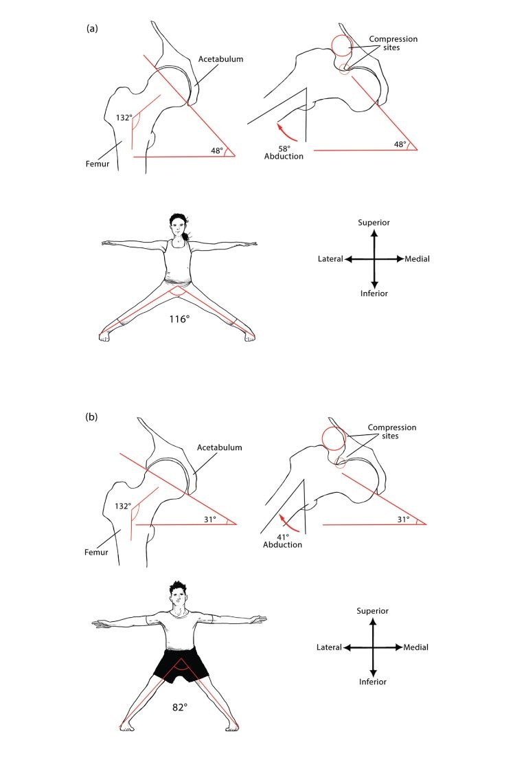 Diagrams, courtesy of Bernie Clark's Your Body Your Yoga