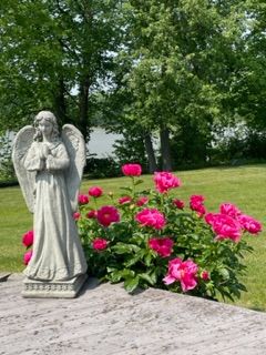 Peonies are blooming!! What about you?