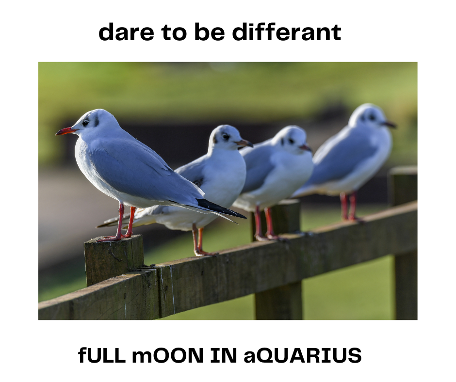 Have you heard the phrase 