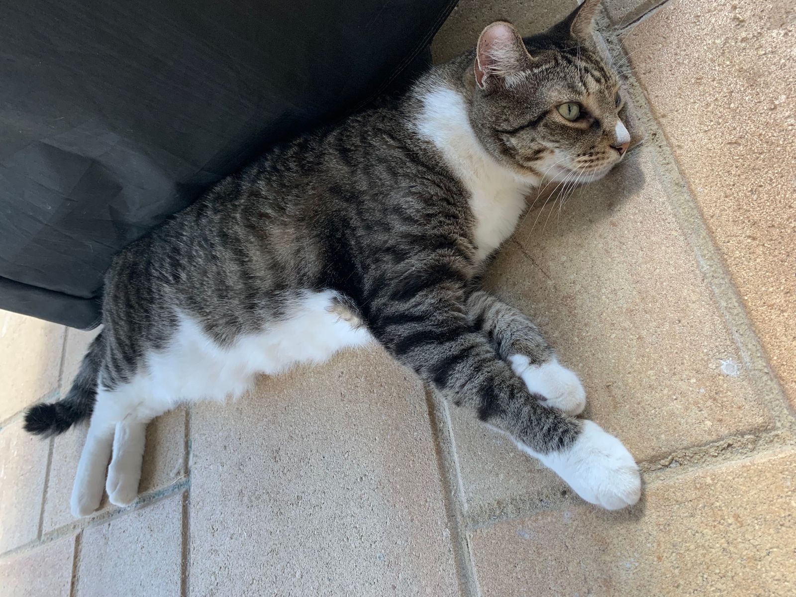 Photo Courtesy of Heidi & Linda