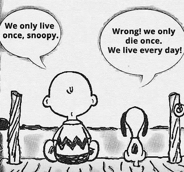 You tell him, Snoopy!