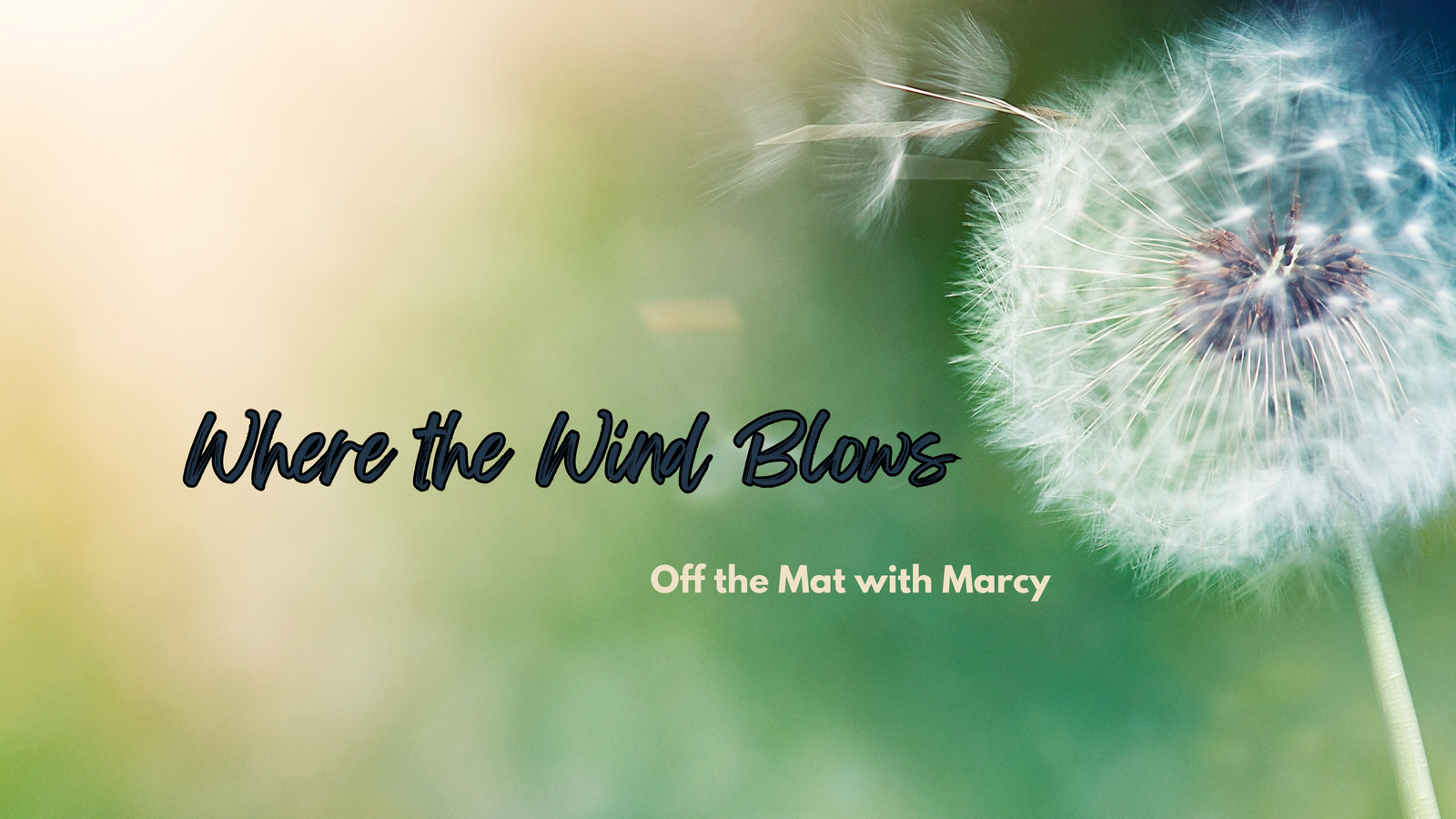 Off the Mat with Marcy Where the Wind Blows by Marcy Kelly