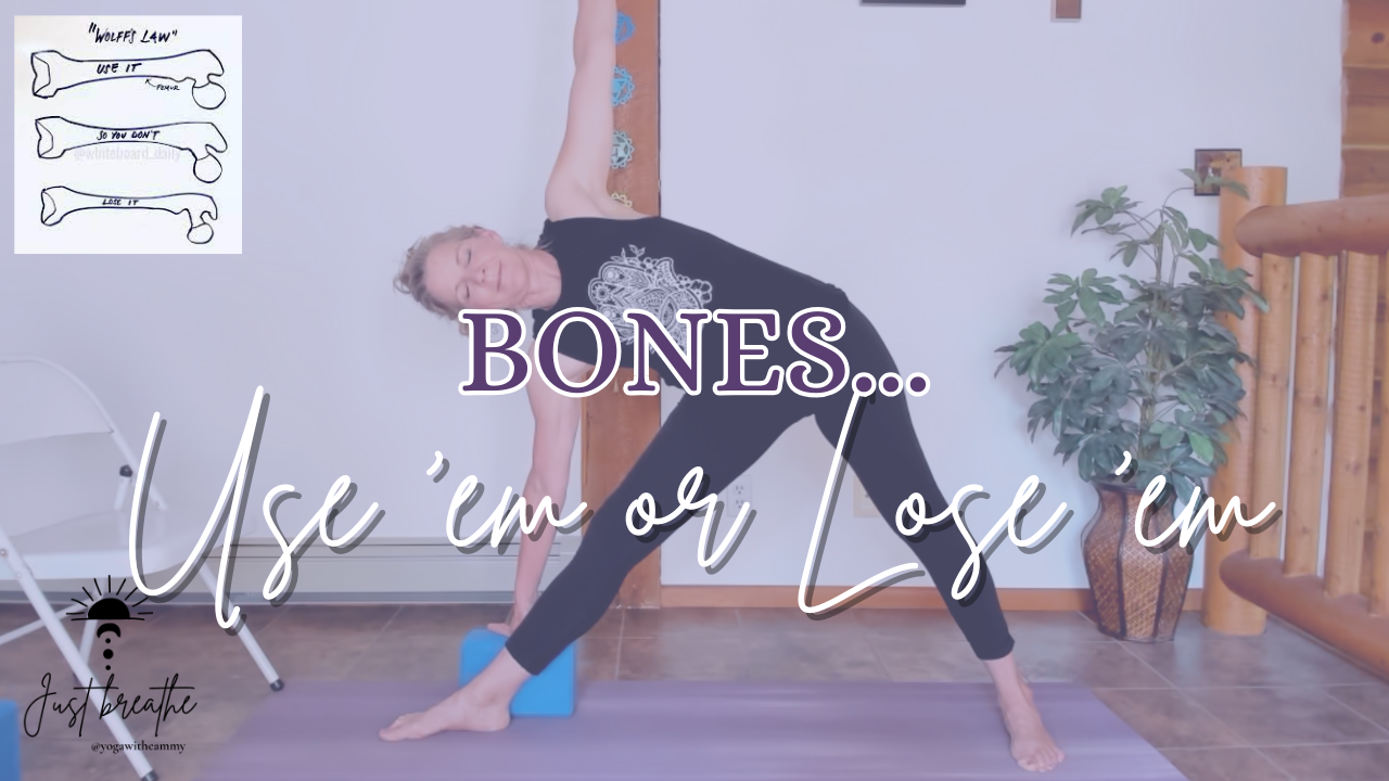 Buy Yoga for Better Bones: Safe Yoga for People with Osteoporosis Book  Online at Low Prices in India | Yoga for Better Bones: Safe Yoga for People  with Osteoporosis Reviews & Ratings -