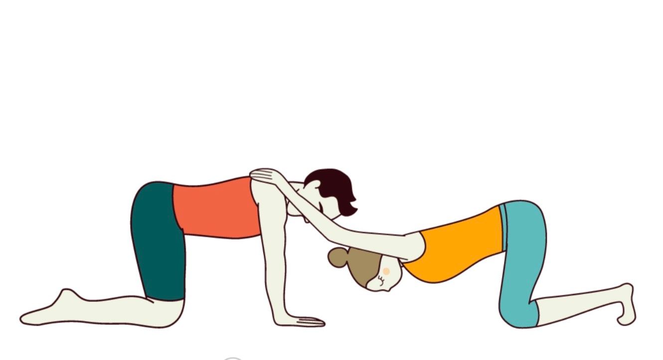 Partner Tabletop Puppy Pose Variation Hands Shoulders OR use a Chair