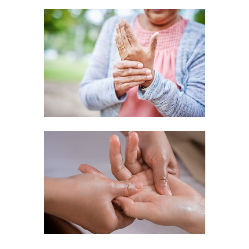 (Images from Canva Pro)