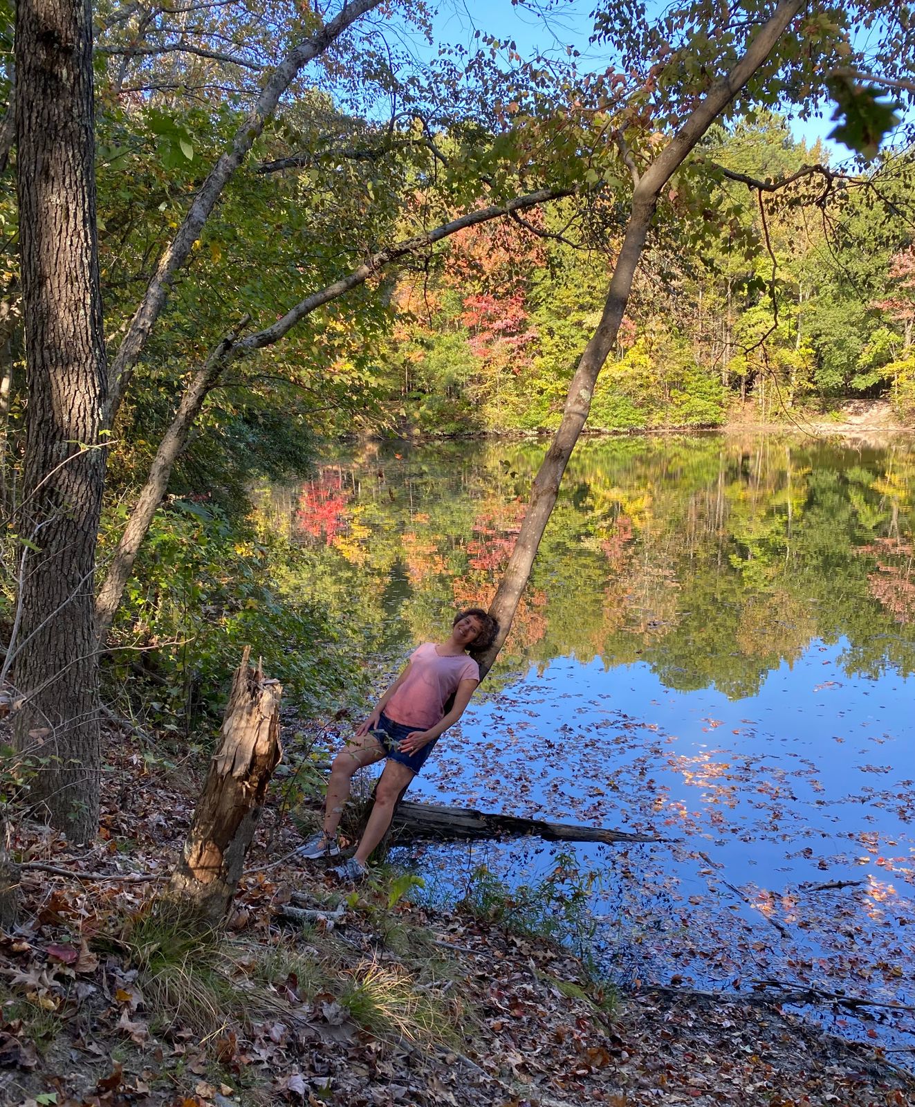 Have you ever tried to 