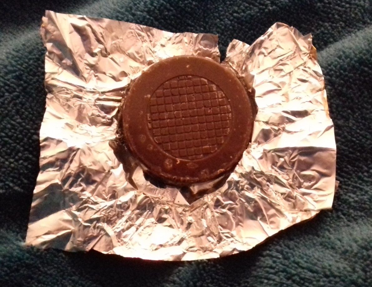 (Image (c) Alyson Tyler)