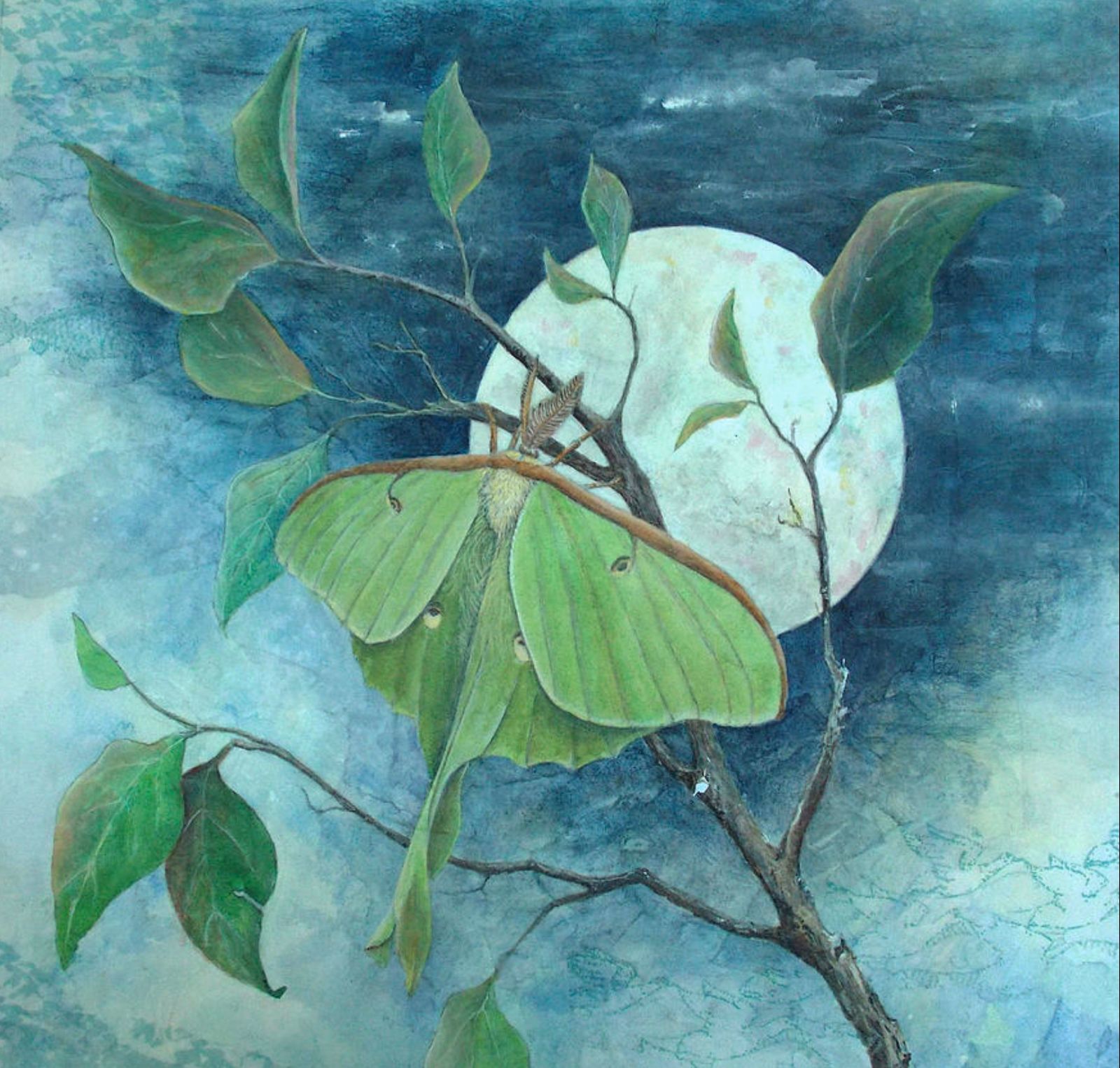 Moths in Moonlight by Sandy Clift 