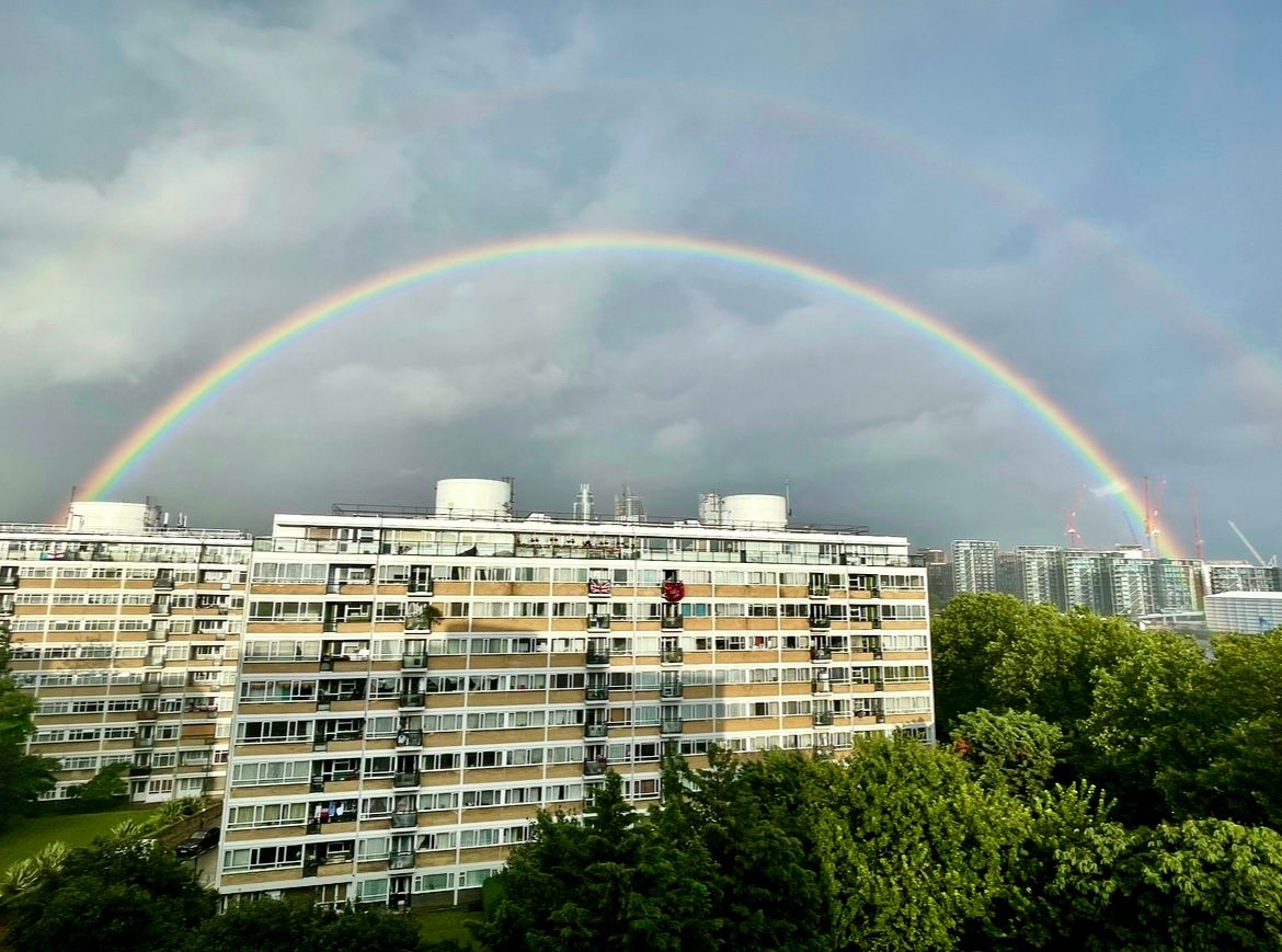 In my backyard, Pimlico Rainbow