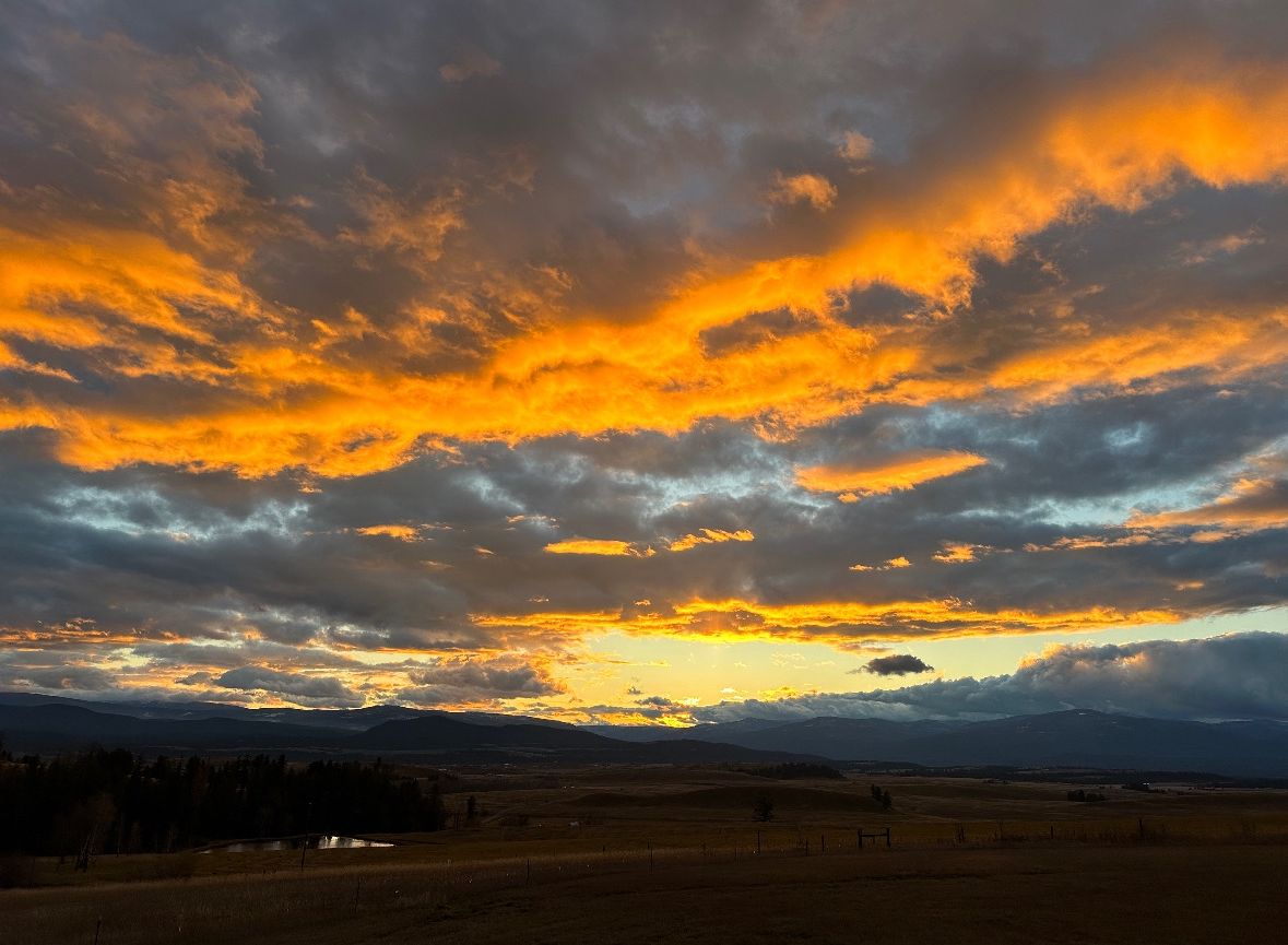 I am writing to you after surviving my first -30 degree cold snap here in Montana. I bundled up and went sledding with my kids and took my dog on (very short) walks. It now has warmed up considerably to 40 degrees, which I  would have considered unbearably cold just half a year ago before I moved. Through the winter weather, I kept warm by working on some projects for the spring and summer months ahead. A couple big ones have come to fruition in the new year, and I am so excited to tell you about them!

Retreat to the Mountains, the luxurious yoga experience in the Montana mountains that you have been waiting for is here! The dates are August 8-11. See my Retreat page for details, pricing, and FAQs. You and a friend each receive $100 off if both of you sign up (discount code: FRIEND24). Join us for a long weekend to relax and reset in the mountains...daily yoga, catered meals, private rooms with en suite bathrooms, and a hike in Glacier National Park to name a few of the ways you will feel pampered on the retreat. 

I am also happy to announce that I will be teaching at Front Range Yoga Festival, May 31-June 2 in Choteau, MT. I can't wait to share my passion and love for yoga this summer, as well as learn from other teachers.