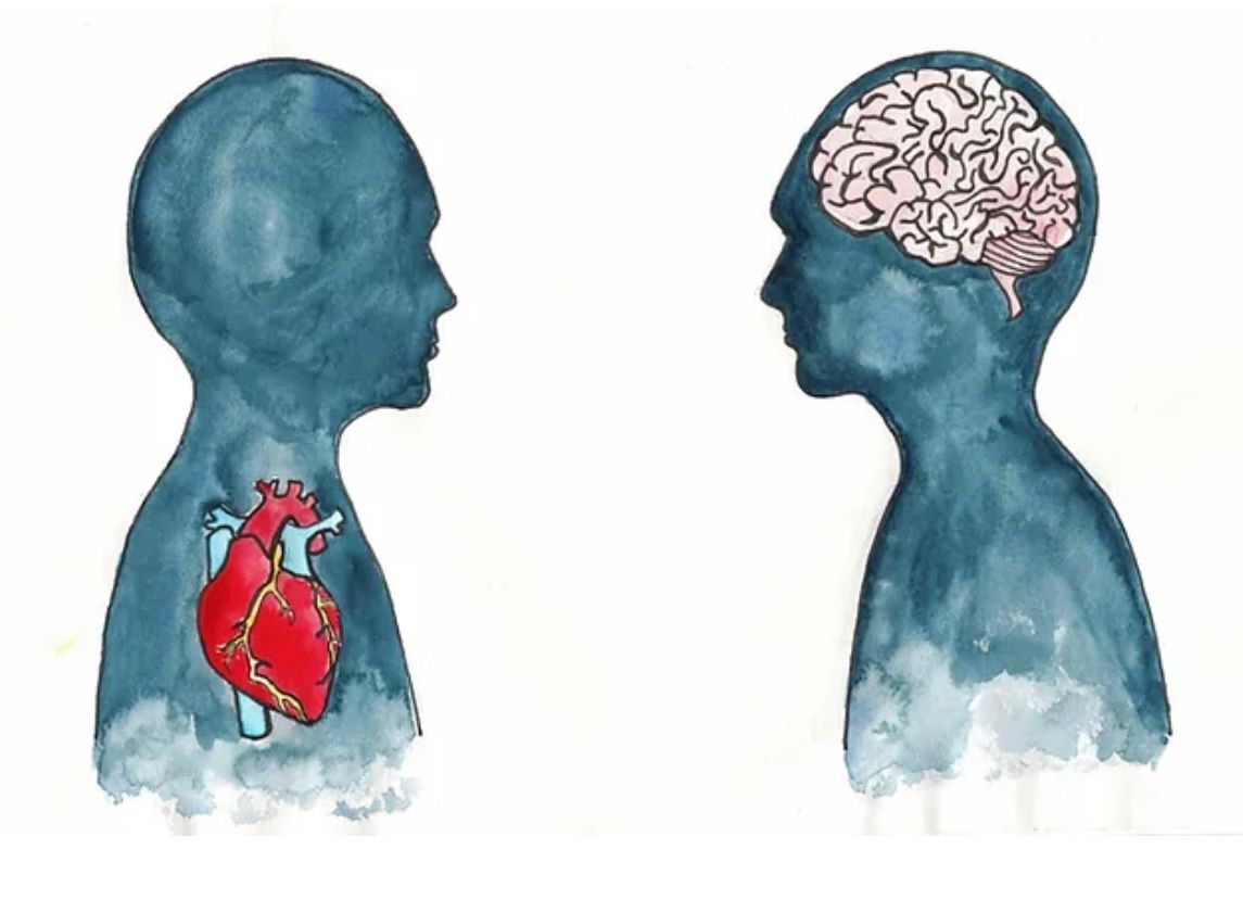 Image- Rachael Cripps