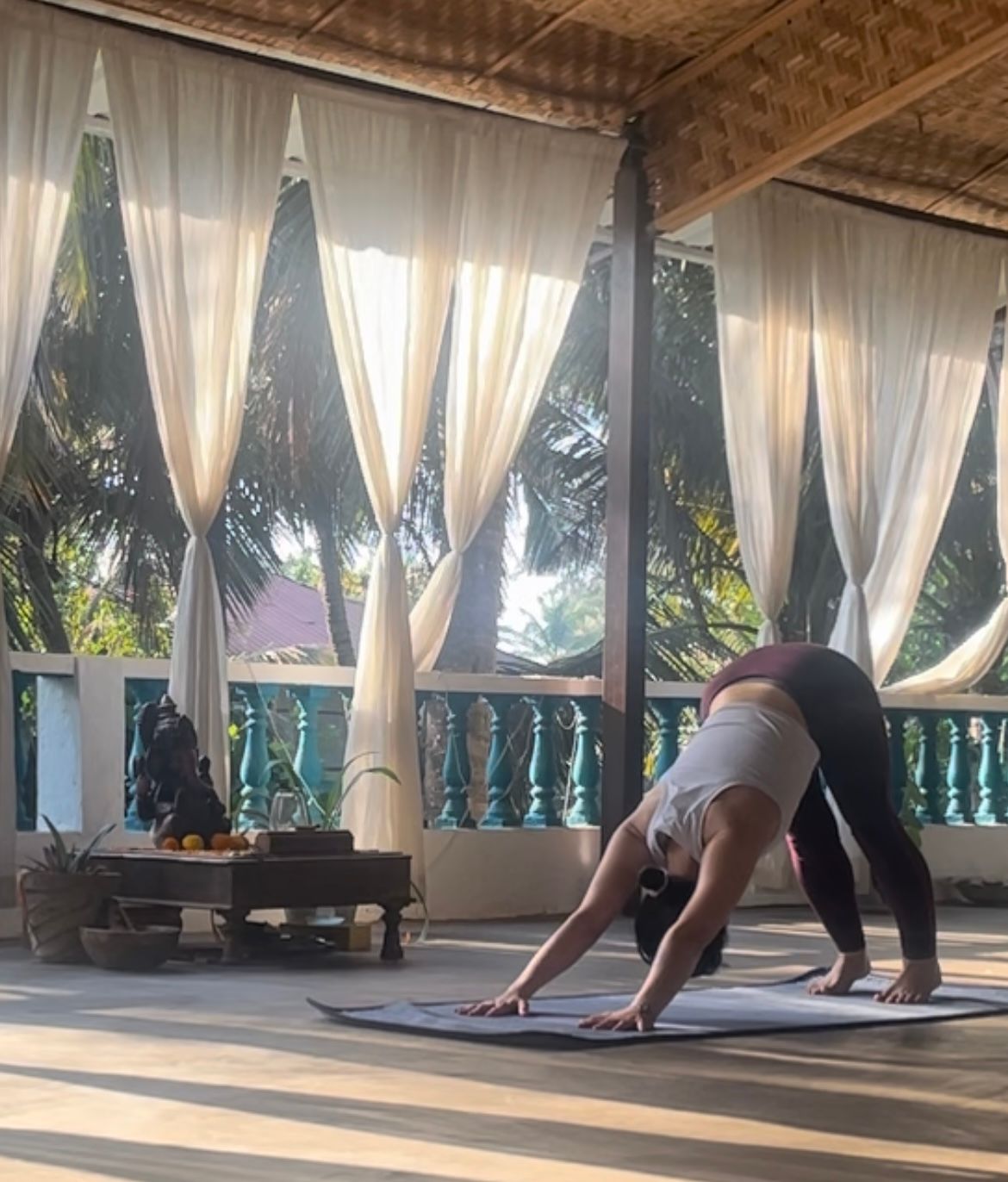 A Downward Dog, 2024