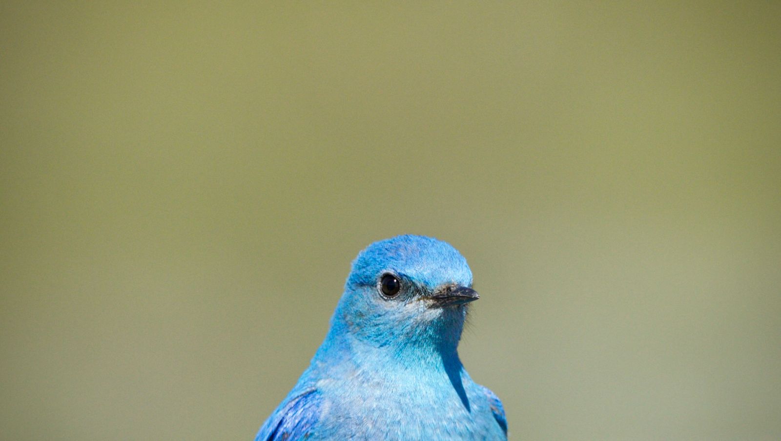 blog-cover-image