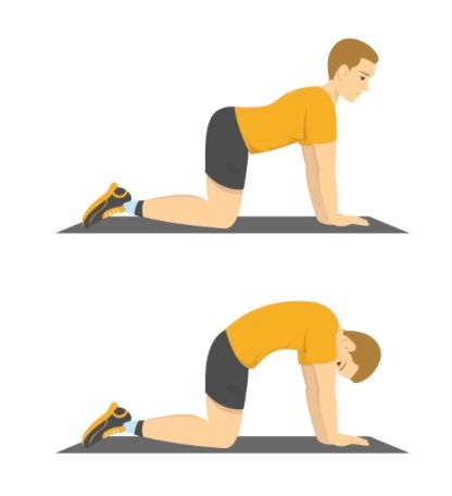 Shishosana (Puppy Dog Pose)