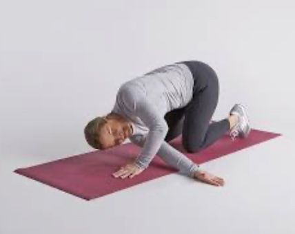 Adho Mukha Svanasana (Downward-Facing Dog) with Partners and Straps