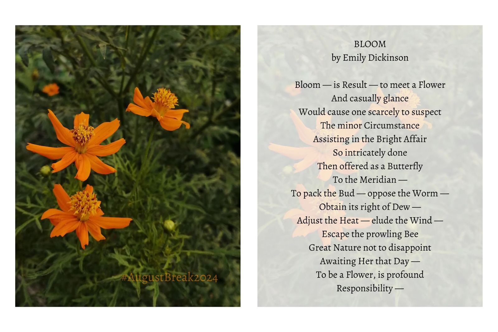 Day 3 of 31: Flowers