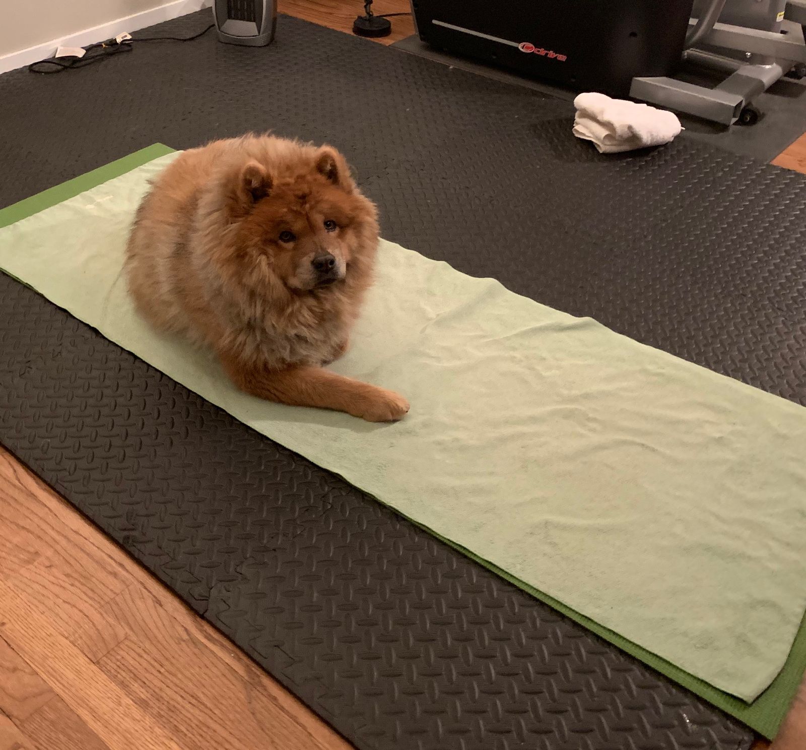 Join Satsanga Yoga to focus on your mind, body and soul.