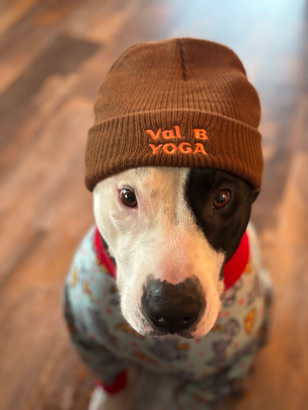With a Val B Yoga Beanie, of course! Petey looks dapper in his beanie and Tooth and Honey pjs.