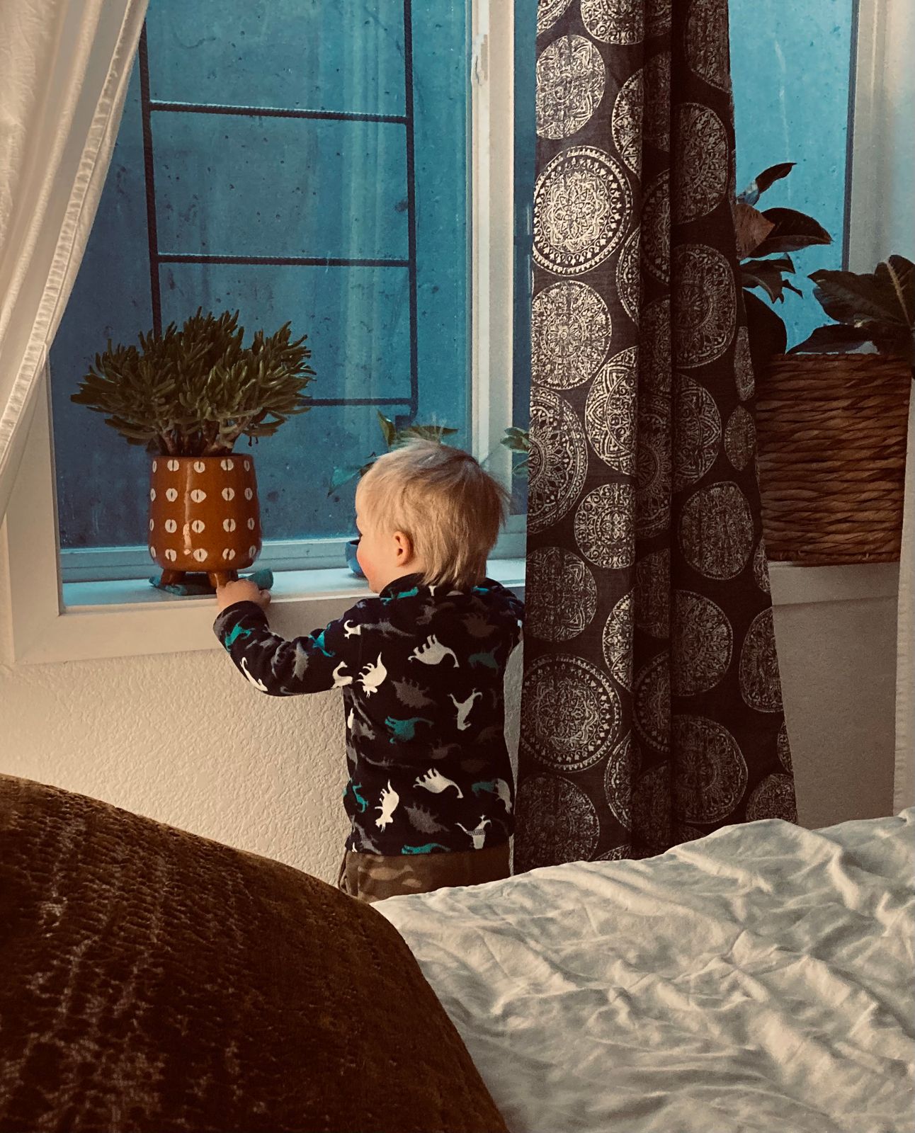 Making sure the plants are watered.