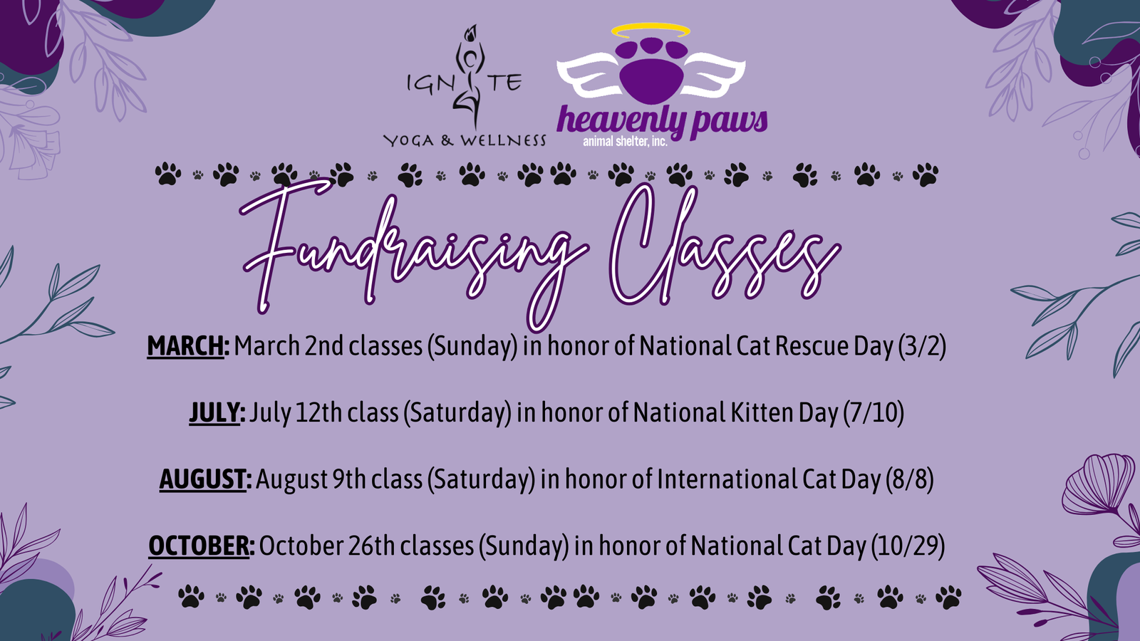 

March – March 2nd classes (Sunday) in honor of National Cat Rescue Day (March 2nd)
July – July 12th class (Saturday) in honor of National Kitten Day (July 10th)
August – August 9th class (Saturday) in honor of International Cat Day (August 8th)
October – October 26th classes (Sunday) in honor of National Cat Day (October 29th)


Help us support the work of Heavenly Paws by attending a class and/or providing items on their Wish Lists.  During the day of the fundraiser, Ignite will donate 10% of each person’s class pass for that day to Heavenly Paws.  Also, if you bring in an item from one of their Wish Lists (or provide proof that you bought something from their one of Wish Lists and had it shipped directly to them) you will be entered into a drawing for 3 free classes!!

Heavenly Paws’ Wish Lists:

Amazon 
Chewy 
Target 
Walmart 


About Heavenly Paws

Heavenly Paws Animal Shelter, Inc. is an all-volunteer organization rescuing over 1000 cats in 2024.   They have a network of foster homes to take in and care for homeless cats until permanent, loving homes can be found, offering a second chance of a lifetime of love and happiness. We also strive to help humans understand the importance of controlling the pet population through spaying and neutering.  They believe that it is our moral responsibility to protect, rehabilitate and improve the lives of abused, abandoned, and homeless cats by placing them in loving permanent homes.

Heavenly Paws Animal Shelter relies on private and corporate donations to help fund our rescue operations and accomplish our mission. They do not receive any government funding and no one in their organization receives any of the money that comes into the shelter. All funds are used to properly operate the rescue and provide housing, treatment, and medical care for our cats and kittens.

Heavenly Paws Animal Shelter has treated and saved many cats in challenging situations, including numerous cases of distemper, as well as other serious health problems, illnesses, injuries, and some of the most severe cases of neglect and abuse. All of their volunteers have pledged to rescue as many cats and kittens from the streets as possible with the space and funding they have available. They are committed to saving lives, one stray at a time!

To learn more about them, go to their website at https://heavenlypaws.wordpress.com. 

