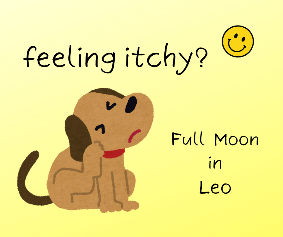 Have you been feeling a mite unsettled, a little at odds, scratchy, itchy?
Let's see if the current lunar set up can offer some answers.
Today's Full Moon in Leo makes a dynamic link with the planet Uranus. Uranus is the planet we associate with feelings of freedom, individuality, creativity and is also known as the 'Awakener'!
This Solar/Lunar link with Uranus encourages us to address any limiting beliefs we hold about ourselves, to understand and bring to the surface patterns and habits, that can tend to block the expression of our wonderfully creative, individualistic, adventurous and fun loving selves.
Engage with this Full Moon to release, recharge and - let it all out 
