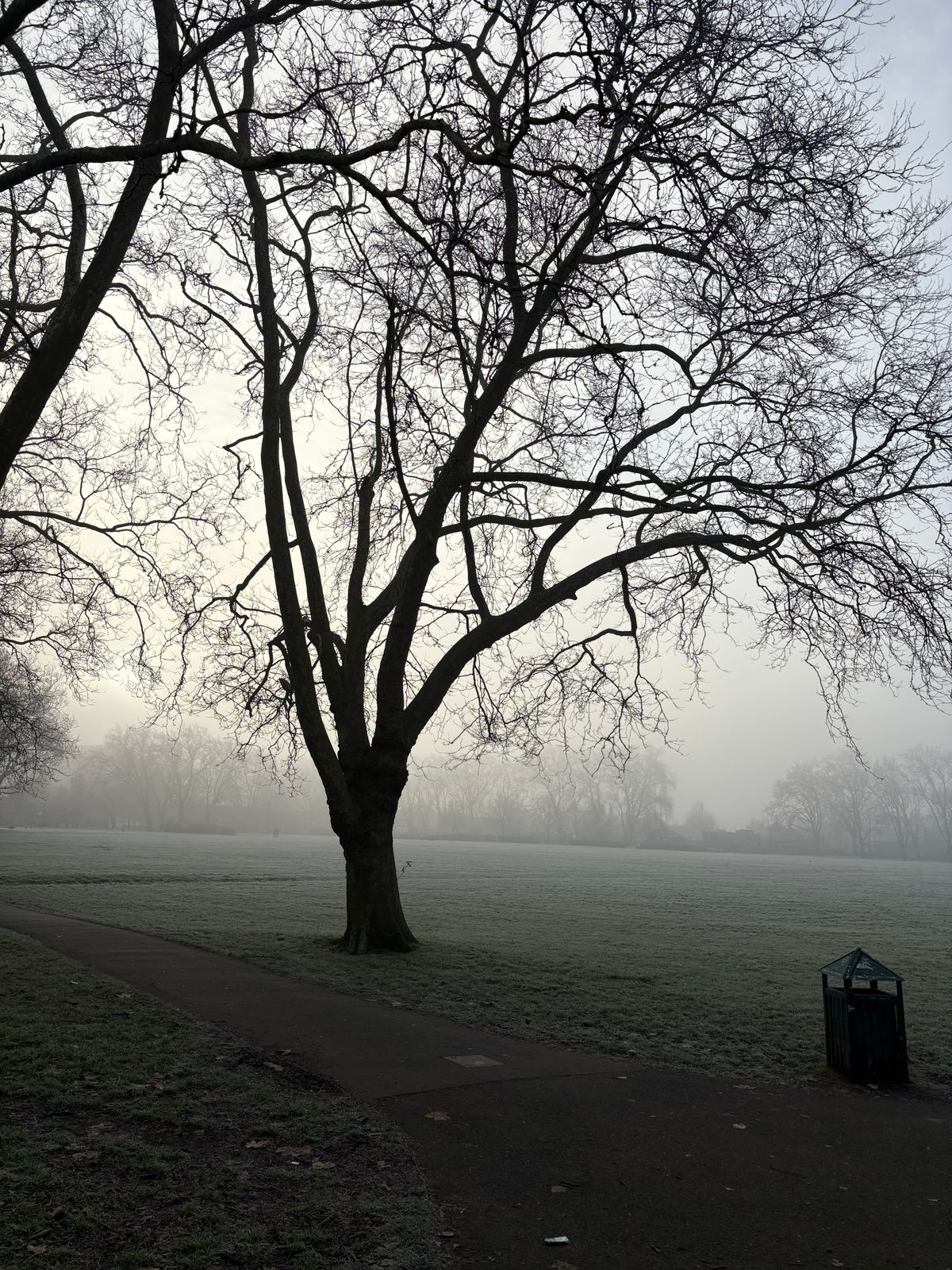 Wintering in my local Chestnuts Park - January 2025