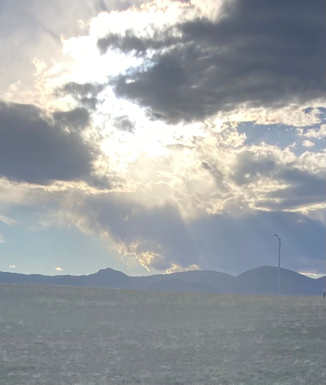 A walk with the boys in our neighborhood.