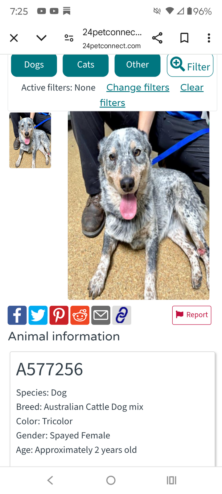 Hazel at the dog pound.