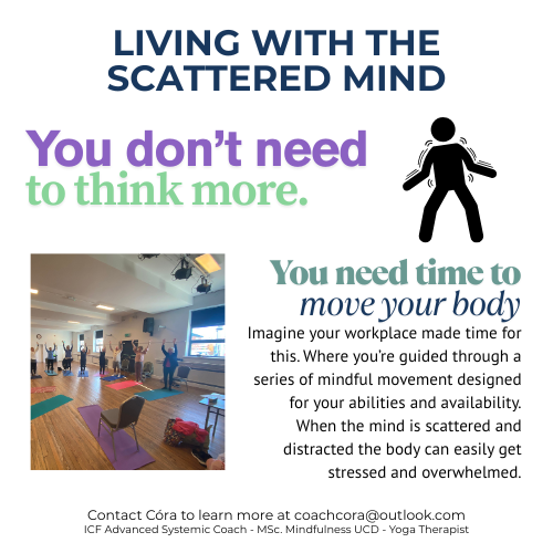 ------------------------------------------------------------------------------------------------------------