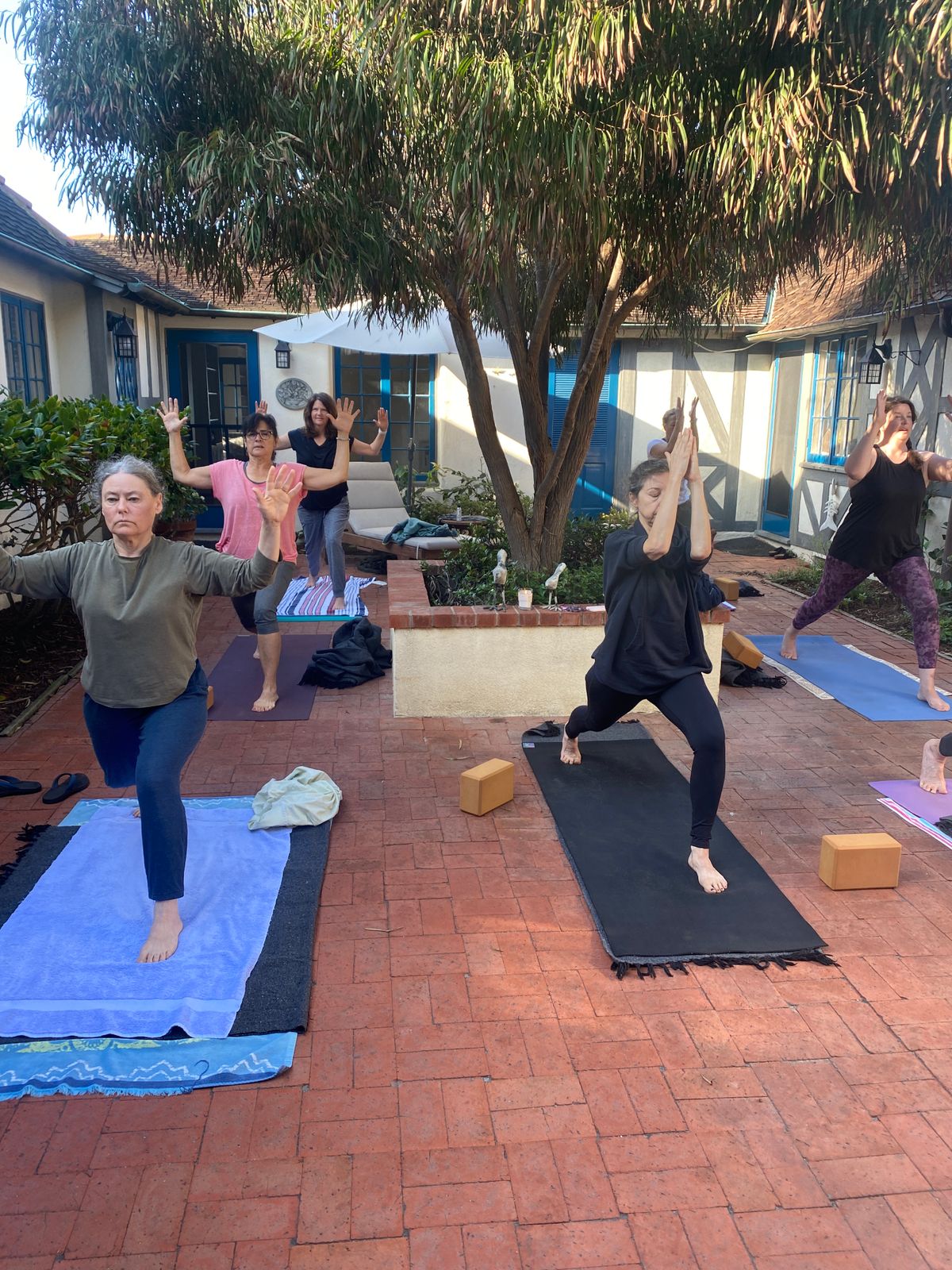 Yoga in the Courtyard